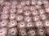 DOCES FONDADOS